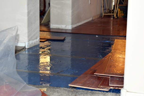 Professional Flood Damage Repair technician working in New Harbor, ME